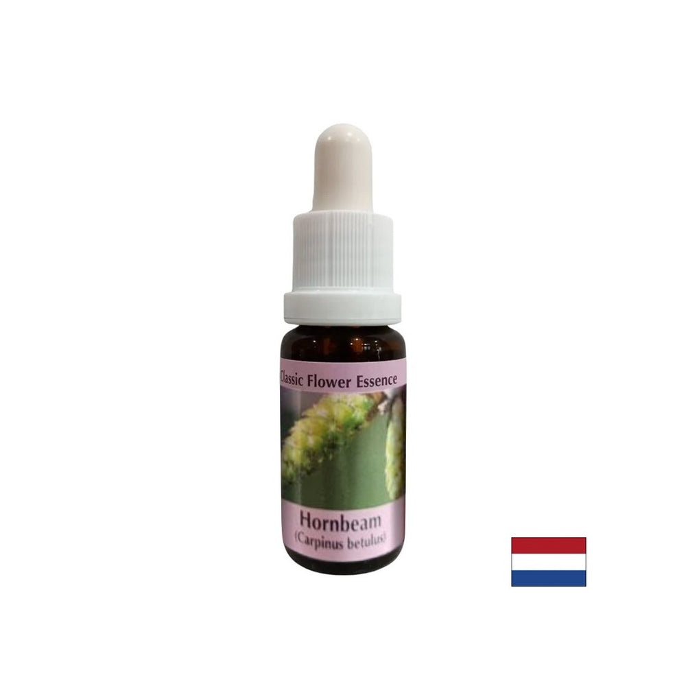 Pour plus d'énergie et de motivation - Hornbeam Essence No. 17, tombe 15 ml