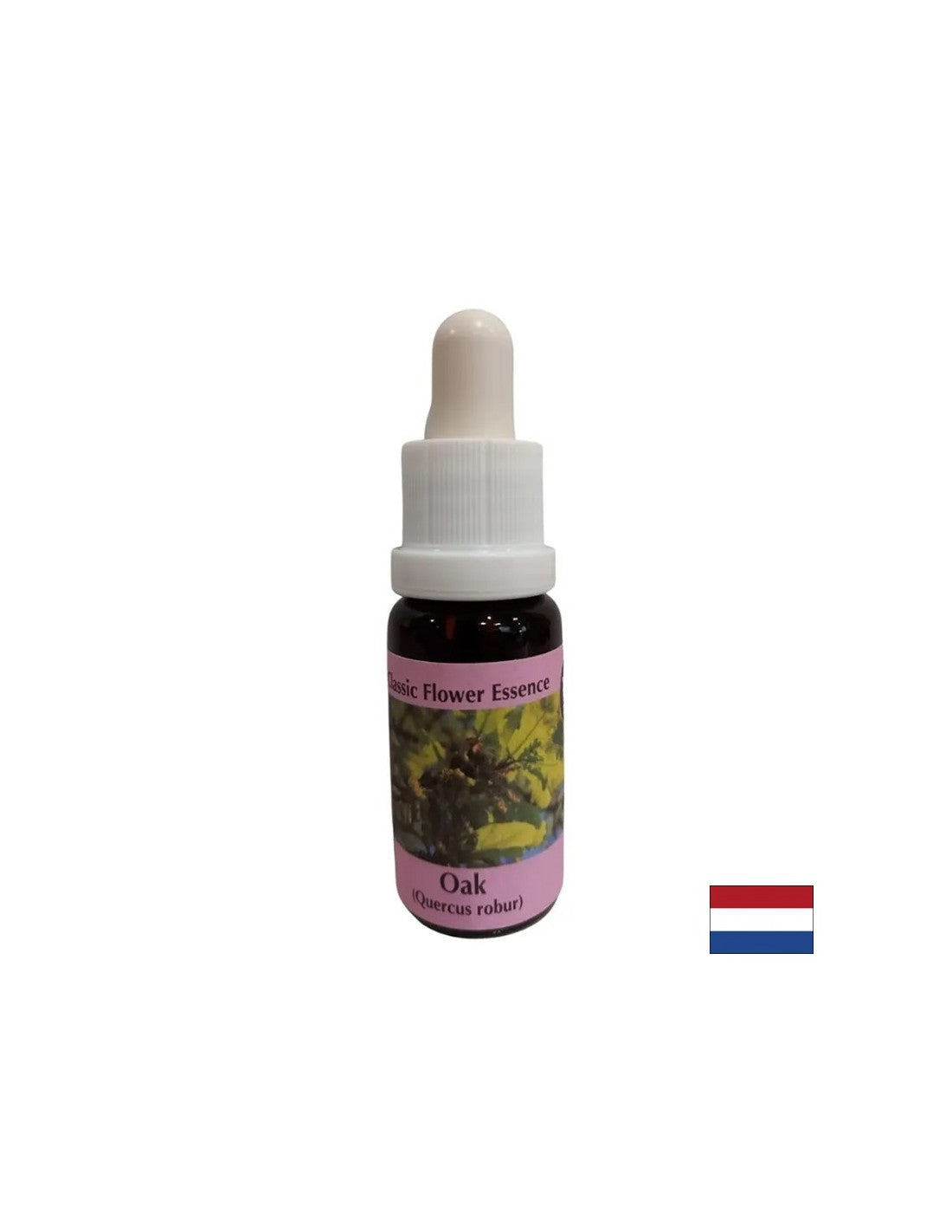 Dynamise - Oak Essence n ° 22, laisse tomber 15 ml
