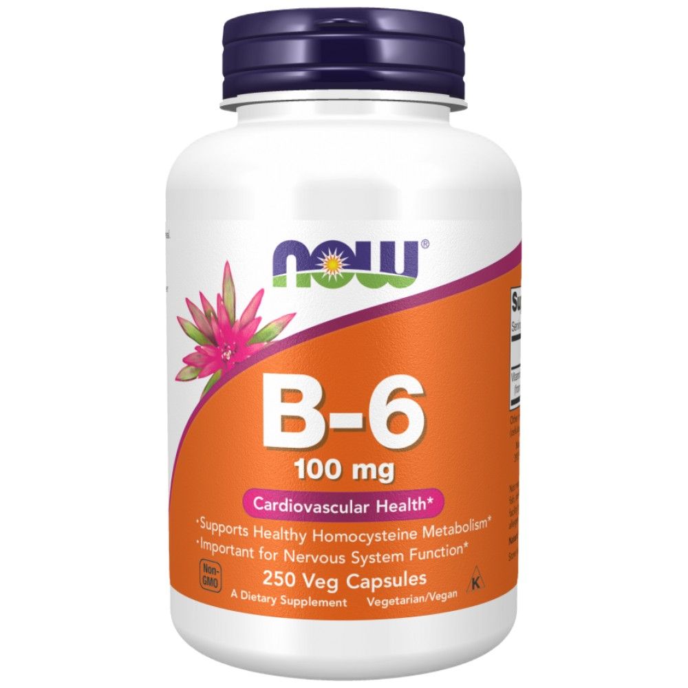 Vitamine B-6 100 mg - 250 capsules