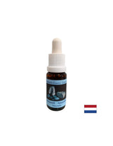 Équilibre émotionnel - Amazonite Essence n ° 1, tombe 15 ml