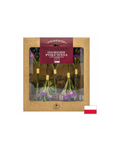 Thé lyophilisé South Garden Bio, 10 g <tc>Dary Natury</tc>