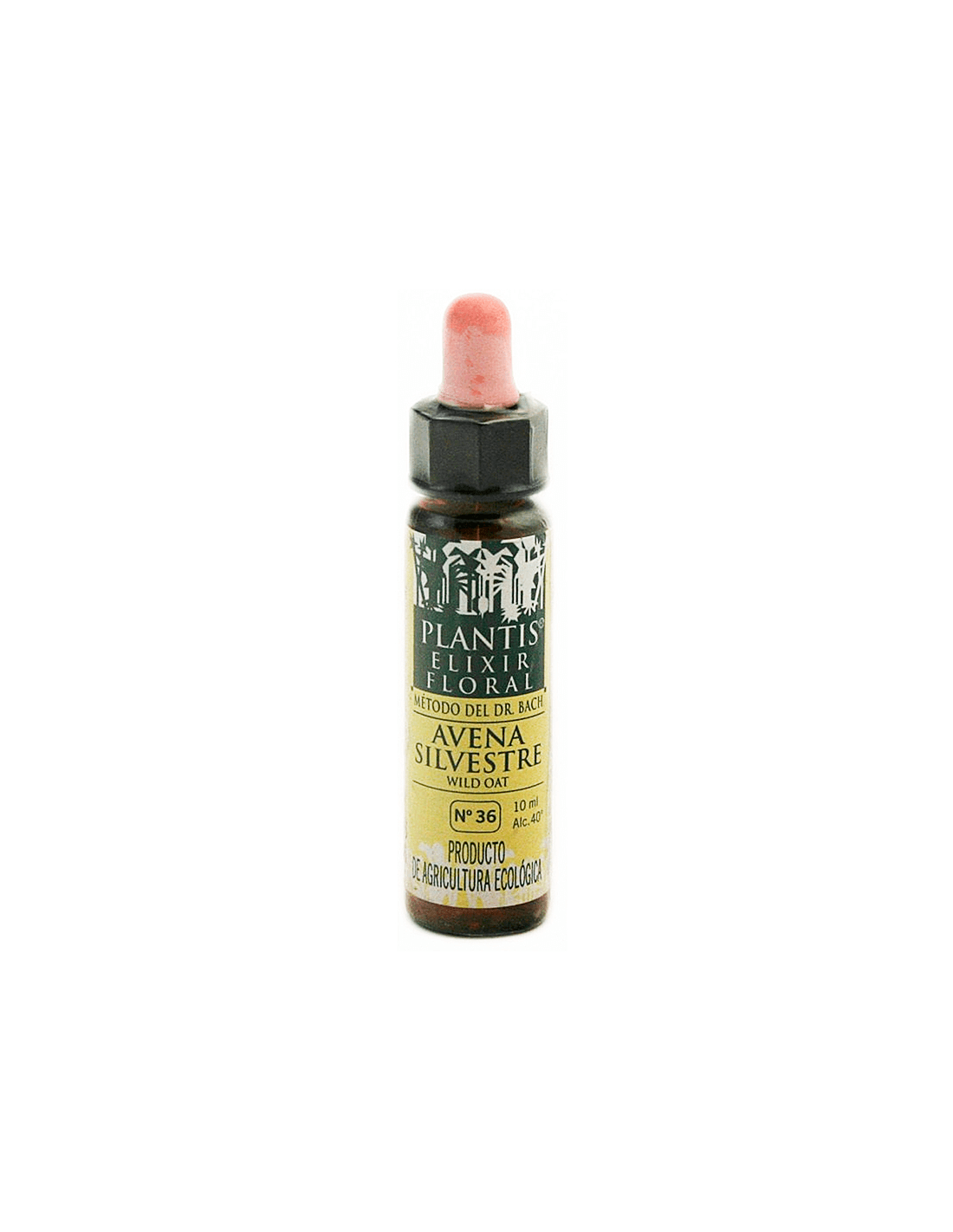 Avoine sauvage - Flower Elixir pour stimuler l'estime de soi - Dr Bach Drops, 10 ml