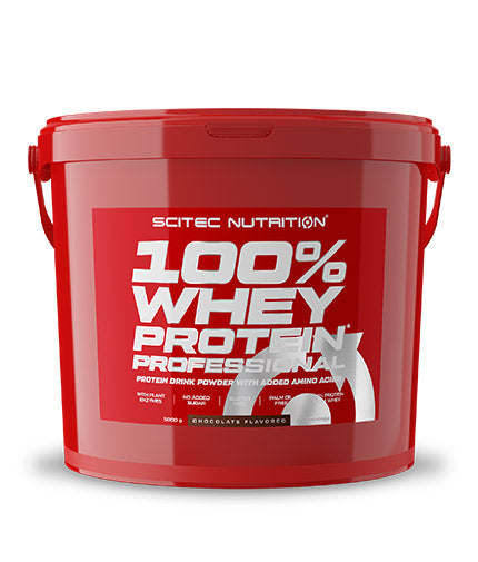 100% de protéines de lactosérum professionnel - 5,00 kg
