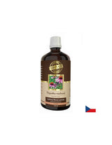 Immunité - Échinacée, 100 ml de teinture