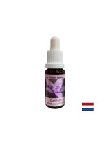 Donne confiance - Gentian Essence n ° 12, tombe 15 ml