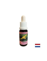 Stimule le changement conscient - le gui blanc d'essence n ° 12, laisse tomber 15 ml