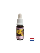 Pour un nouveau début - Essence Preshtip n ° 13, laisse tomber 15 ml