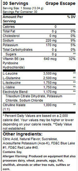 Portions BCAA/30 originales (promo)