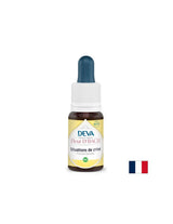 Premiers soins en cas de crise, Essences florales, bachs Method Drops, 15 ml