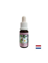 Promote la communication - Swamp Iris Essence, Drops 15 ml
