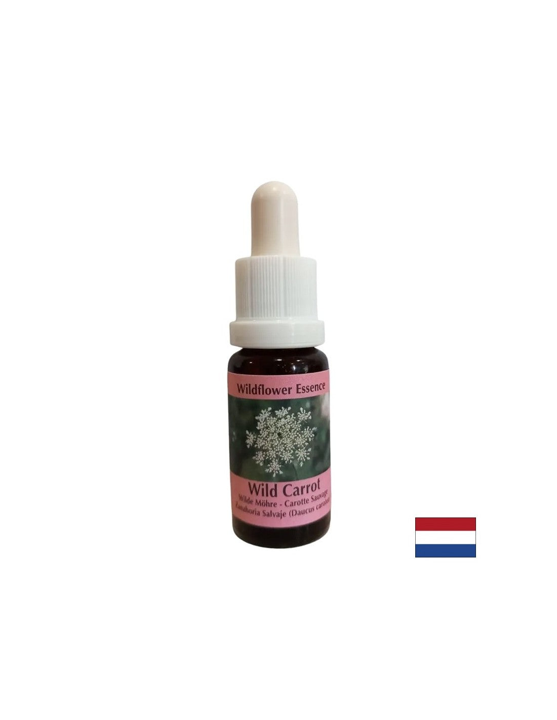Calme l'esprit de l'esprit - Wild Carrot Essence, tombe 15 ml