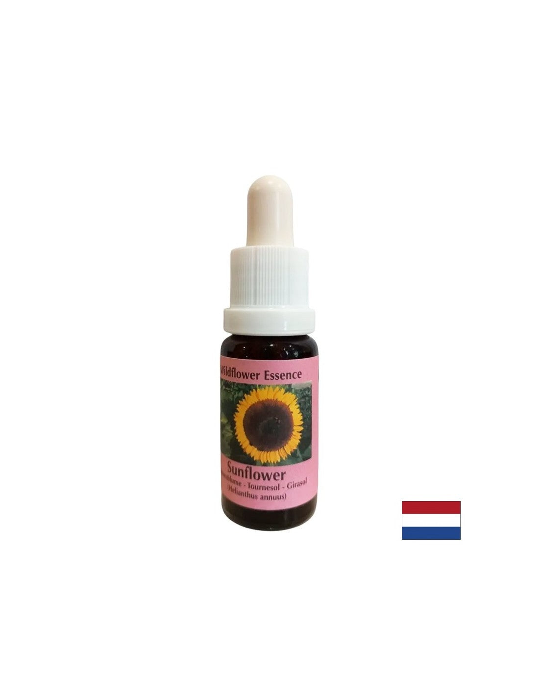 Surmonte les conflits avec les parents, renforce la conscience de soi et la responsabilité - Essence du tournesol n ° 16, baisse 15 ml