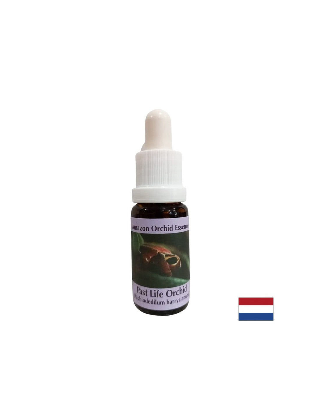 Conscience du présent à travers les leçons du passé - Past Life Orchid Essence No. 16, laisse tomber 15 ml