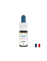 Par peur et incertitude - mélèze, bach n ° 19, 15 ml