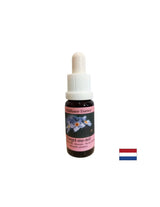 Supprime les énergies et les peurs négatives - Forest Forget-Me-Not Essence No. 19, Drops 15 ml
