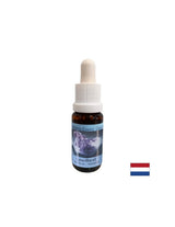 Croissance et intuition spirituelles - Améthyste Essence n ° 2, baisse 15 ml