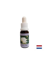 Pour la conscience spirituelle - Victoria Regia Essence n ° 20, 15 ml de gouttes