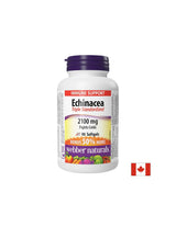 Immunité - Échinacée (extrait triple standardisé) 2100 mg, 90 capsules SoftGel
