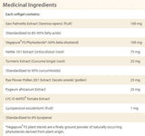 Capsules Pure Food Super Mushroom non OGM 60