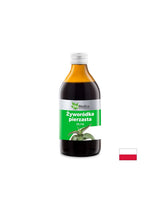 Tonique avec du kalanchoe pour les cheveux sains et beaux - apaise le cuir chevelu et renforce les cheveux, 250 ml, 10 applications