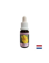 Clarifie l'esprit en cas de peur et de panique - Helianthemum Essence (jaune) n ° 26, laisse tomber 15 ml