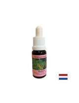 Soutient le travail d'équipe et la créativité - Lopen Essence n ° 29, laisse tomber 15 ml