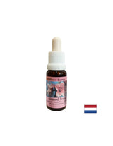 Rajeunit le corps et stimule une alimentation saine - l'essence des amandes n ° 31, laisse tomber 15 ml