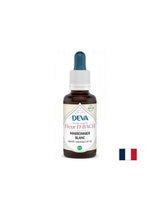 Mémoire et concentration - châtaignier à cheval, bach n ° 35, 15 ml