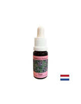 Restaure le rythme et prend en charge l'adaptation - Sage Essence n ° 36, laisse tomber 15 ml