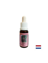 Aide à dissiper les souvenirs négatifs - le saule à feuilles étroites n ° 37, laisse tomber 15 ml