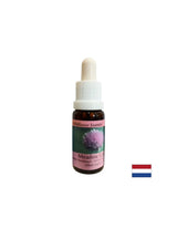 Stimule la volonté et le métabolisme - l'essence oignon n ° 39, tombe 15 ml