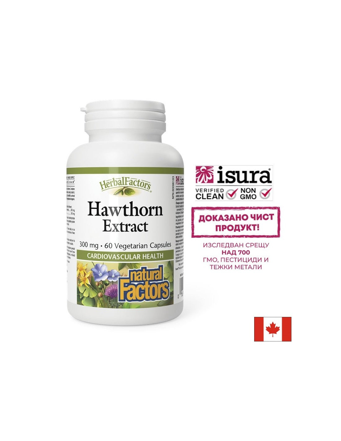 Aubépine - force pour le cœur, équilibre pour le système nerveux, 465 mg, 60 capsules