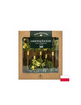 Tisane lyophilisée pour la détente Bio, 5 bâtonnets x 2 g <tc>Dary Natury</tc>