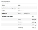 BCAA 2: 1: 1 1000 xtracaps - 360 capsules