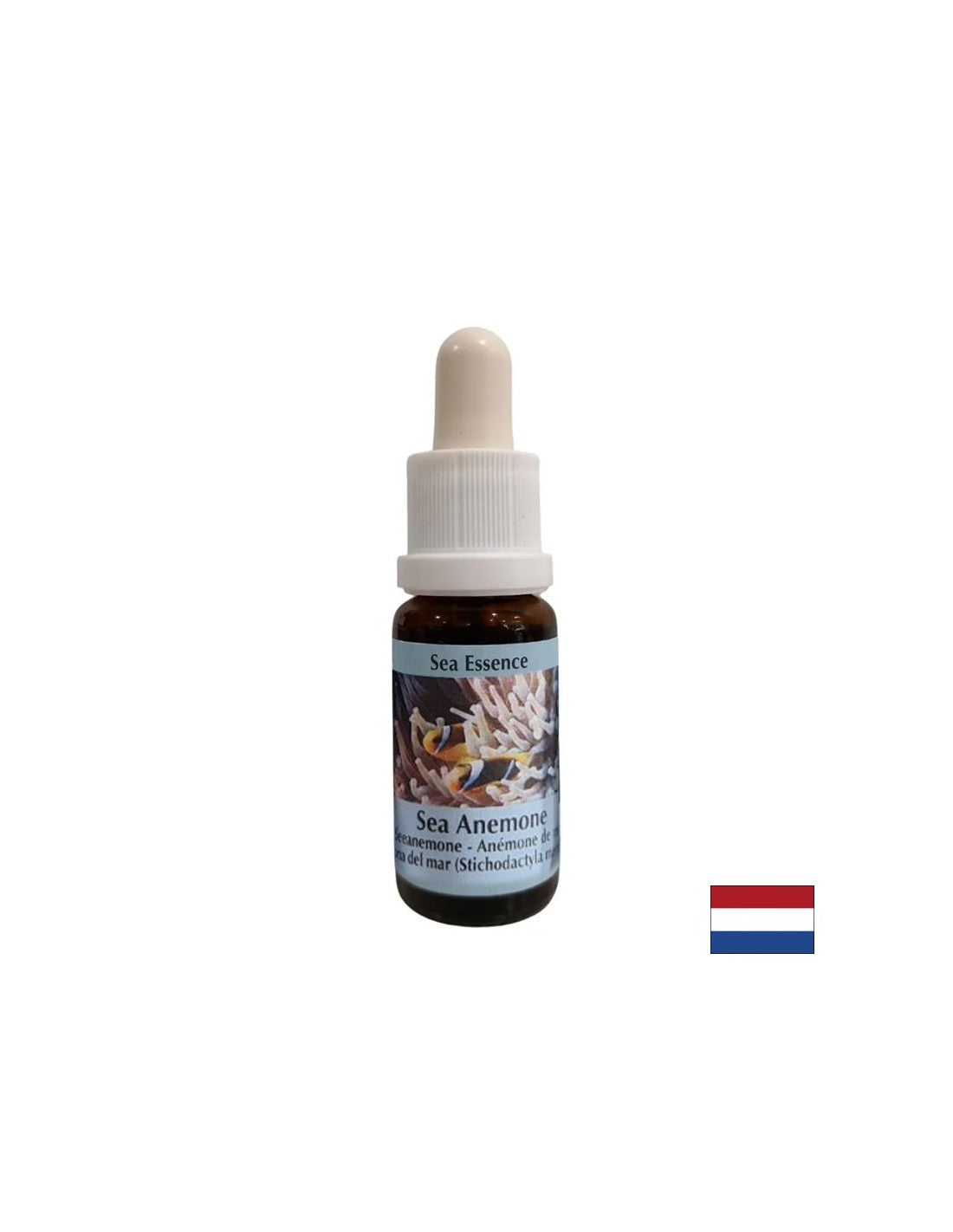 Renforce la cohésion et la clarté lors du choix d'un partenaire - Sea Anemone Essence No. 6, laisse tomber 15 ml