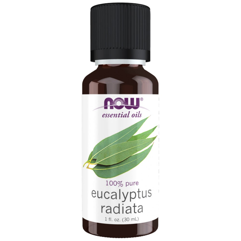 Eucalyptus radiata huile | 100% d'eucalyptus pur radiata - 30 ml