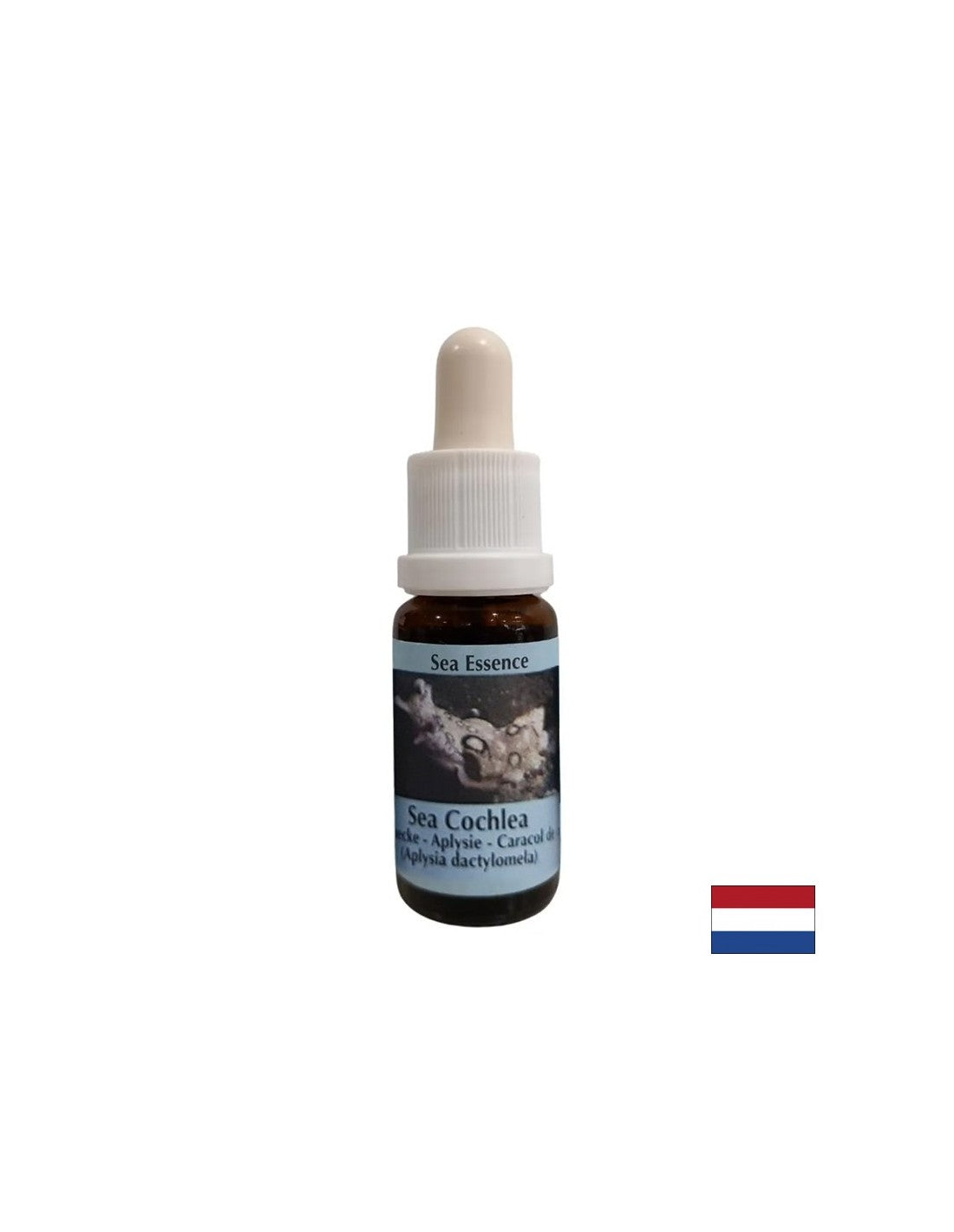 Donne une force intérieure dans des situations instables - Essence d'escargot de mer n ° 8, tombe 15 ml