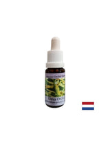 Rapproche les gens de l'énergie de la nature - Essence Orchid Deva n ° 9, tombe 15 ml