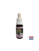 Relie le monde intérieur à la réalité - Essence povet n ° 9, laisse tomber 15 ml