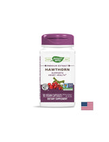 Système cardiovasculaire - Hawthorn - Extrait premium, 90 capsules