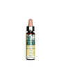 Achicoria (Chicory) Elixir Floral 8 - Floral elixir of chicory, 10 ml Artesania - Nutra Best Europe