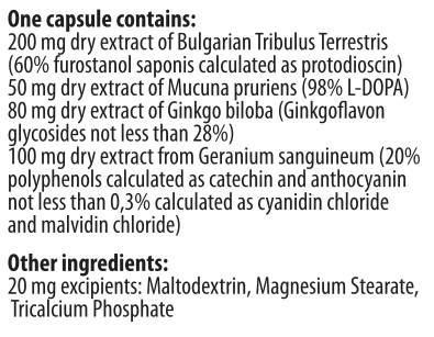 Capsules masculins capables