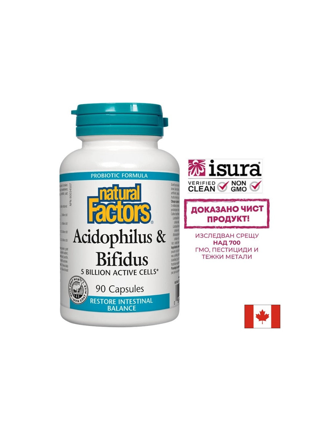 Acidophilus et bifidus | 5 milliards de cellules actives - 90 capsules