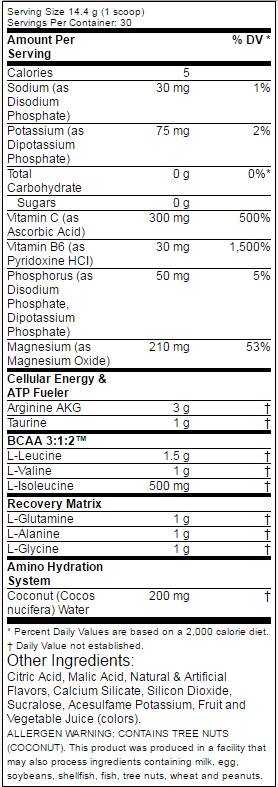 Amino 1 hydrate + récupérer 432 grammes