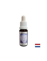 Pour trouver les bons mots - Essence Mechiel (Angel Essence No. 16), laisse tomber 15 ml