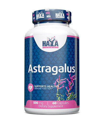 Astragalus 500 mg./60 Caps.
