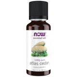 ATLAS CEDAR Huile | 100% cèdrus pur atlantica - 30 ml