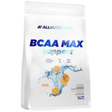 Support BCAA Max - 1000 grammes