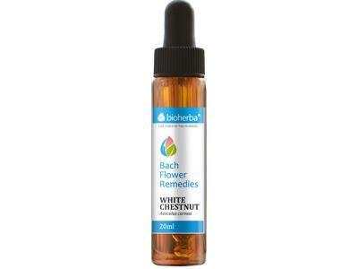 Bach laisse tomber la châtaigne blanche 20 ml