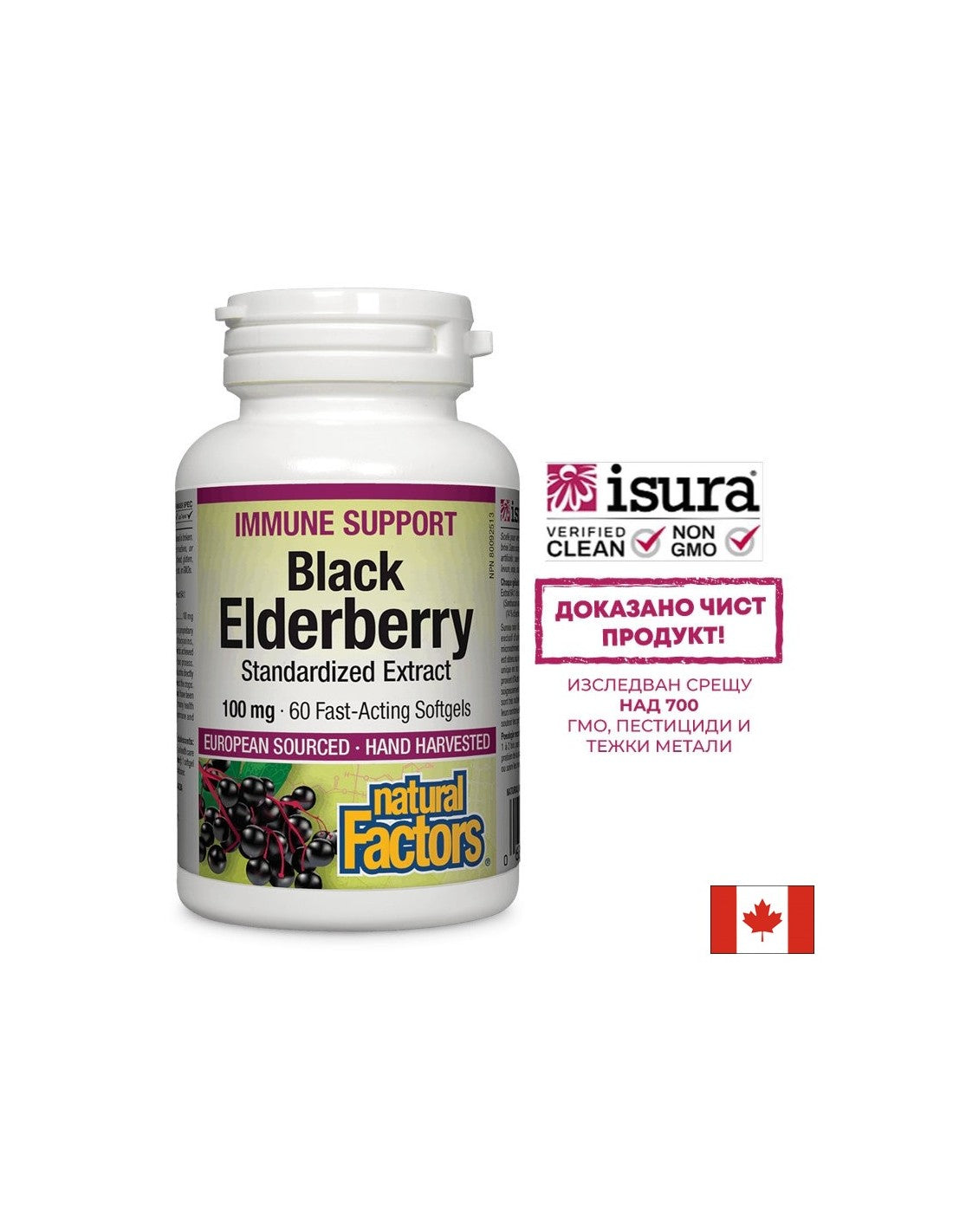 Extrait standardisé de sureau noir 100 mg - 60 capsules de gel